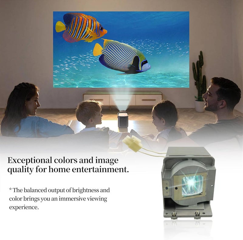 SORNEICDR RLC-072 Replacement Projector Lamp Bulb Compatible with Viewsonic PJD5133 PJD5123 PJD5233 PJD5523W PJD5223 PJD5353 PJD5113 PJD5133-1W Pro6200 Projector Lamp Bulb with Housing - Image 5